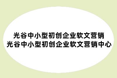 光谷中小型初创企业软文营销 光谷中小型初创企业软文营销中心